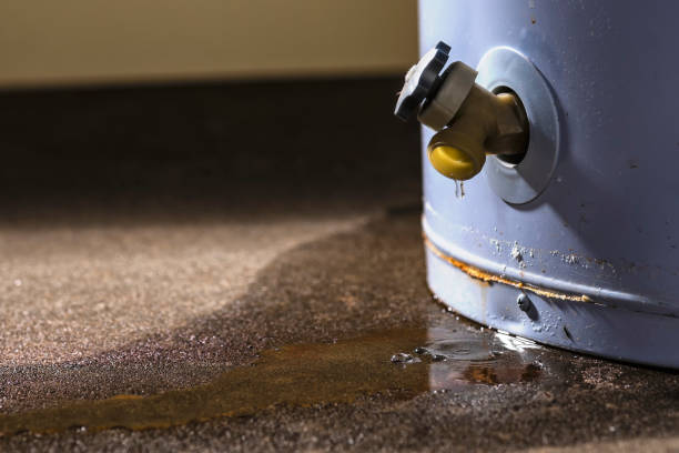 Best Flood damage cleanup  in Sutherland, NE