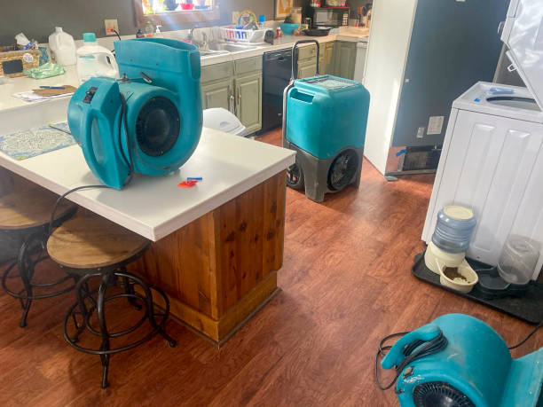 Best Basement water damage restoration  in Sutherland, NE