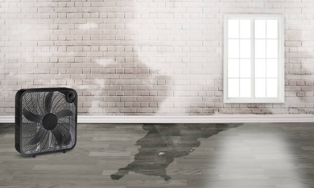  Sutherland, NE Water damage restoration Pros