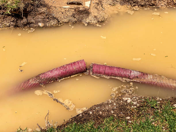 Best Emergency water extraction  in Sutherland, NE